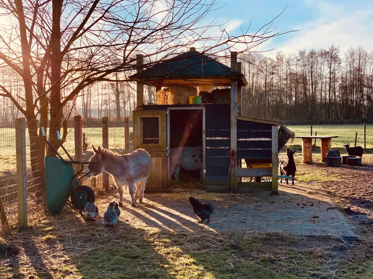 Camping Vossenberg - Op De Veluwe! 에페 외부 사진